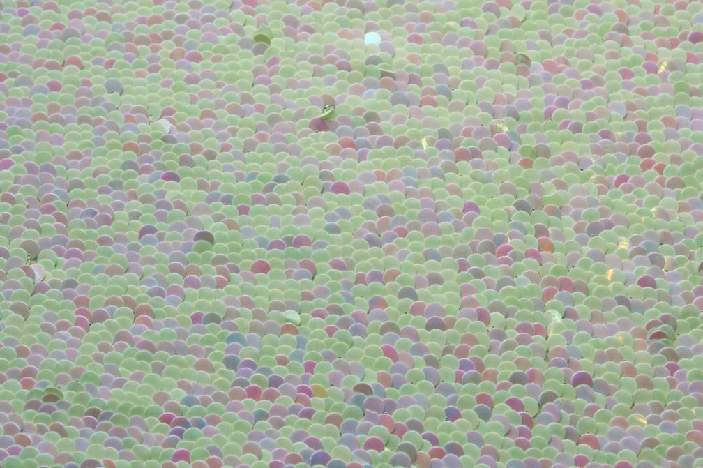 Paillettes on Silk Chiffon0