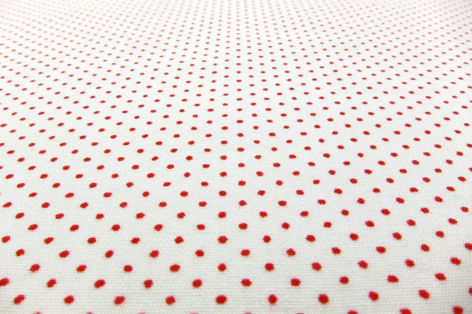 Cotton Broadcloth Print2