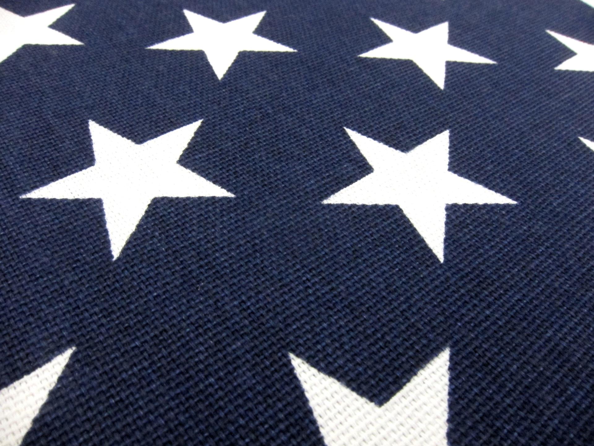 Cotton Canvas Stars Print2