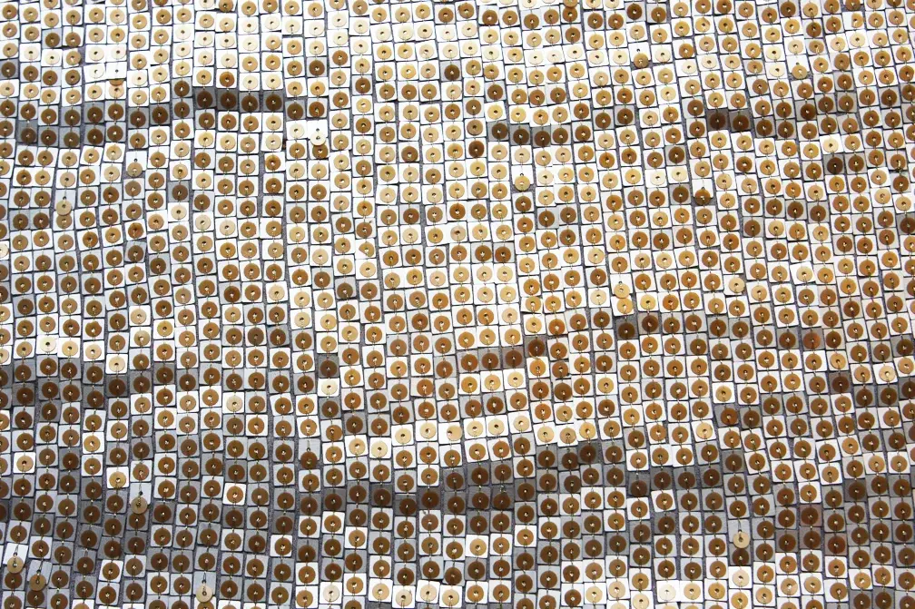 Sequins on Silk Chiffon0