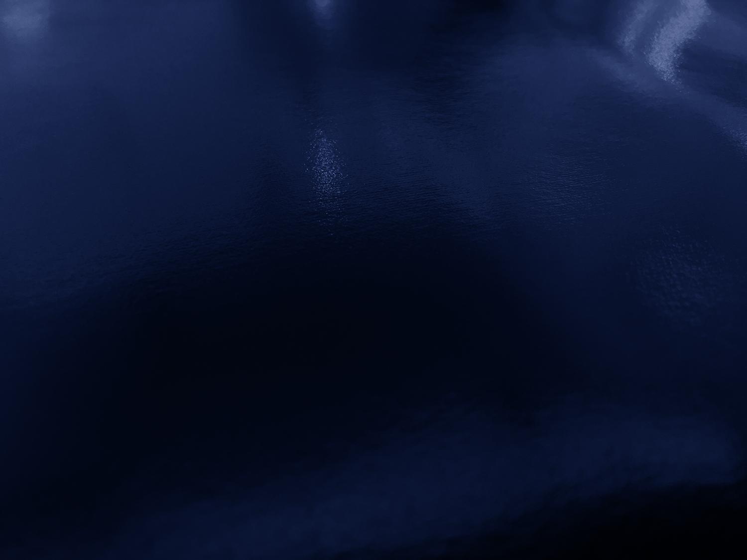 Wetlook Vinyl in Navy0