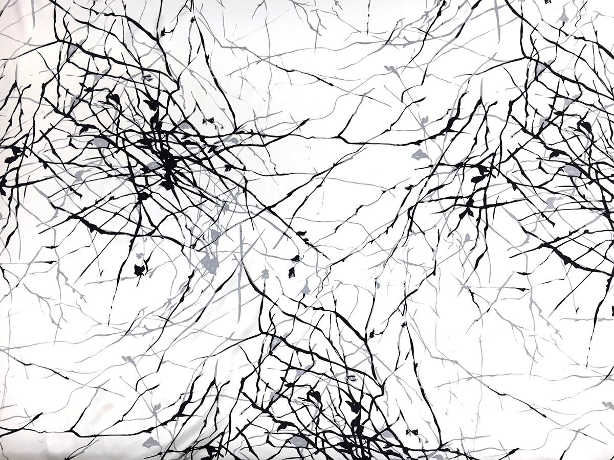 Printed Silk Charmeuse with Abstract Line Patterns0