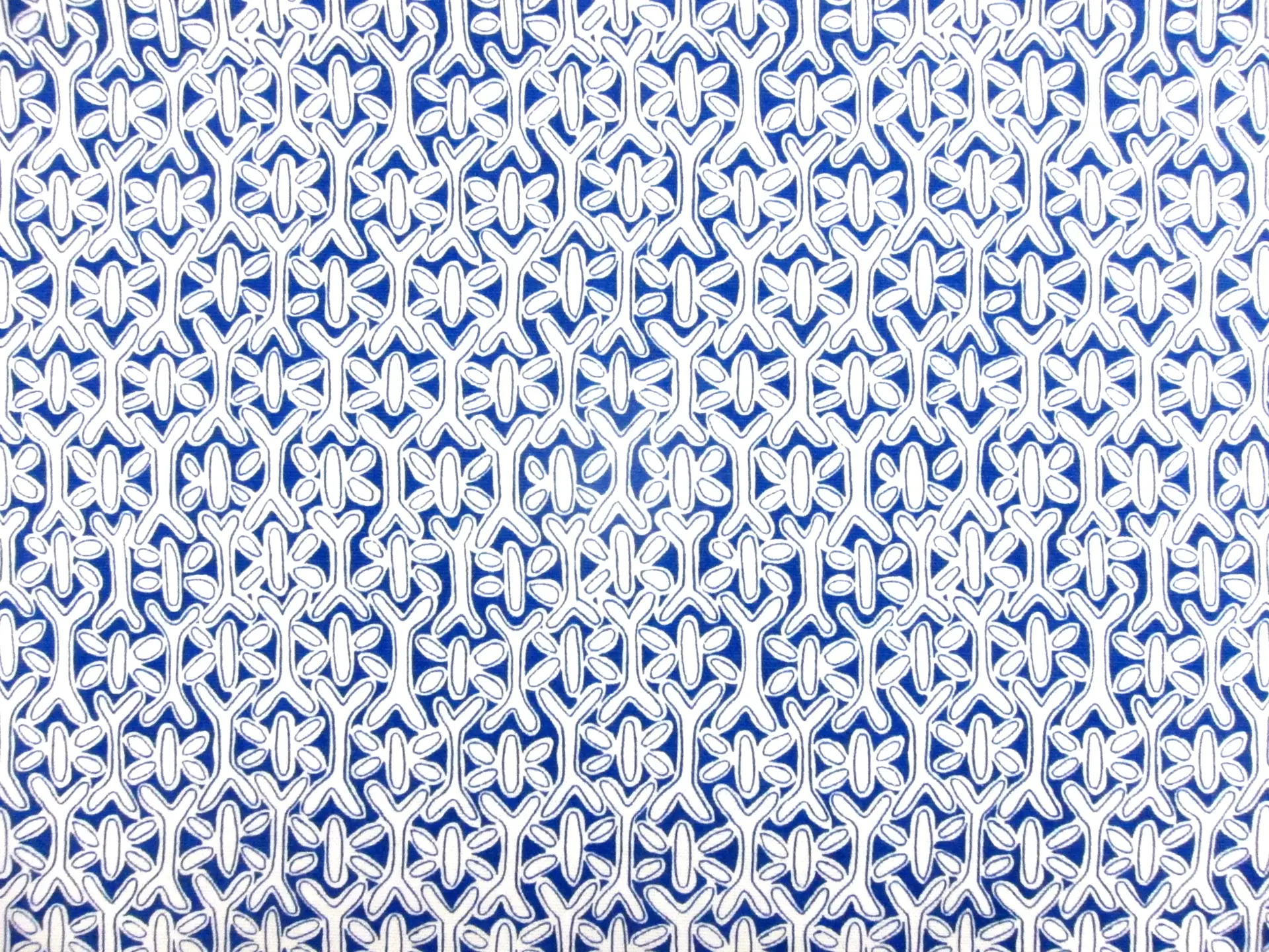 Printed Organic Cotton Canvas0