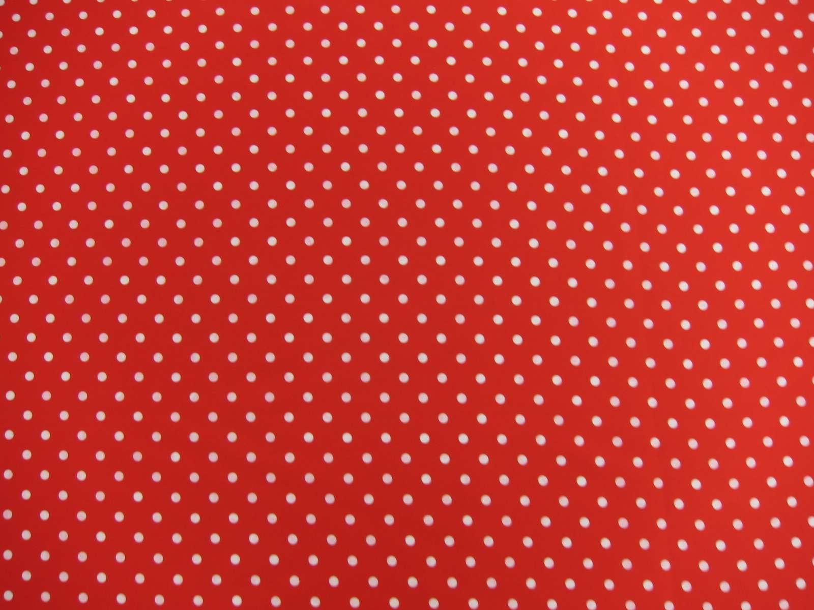 Printed Silk Charmeuse1