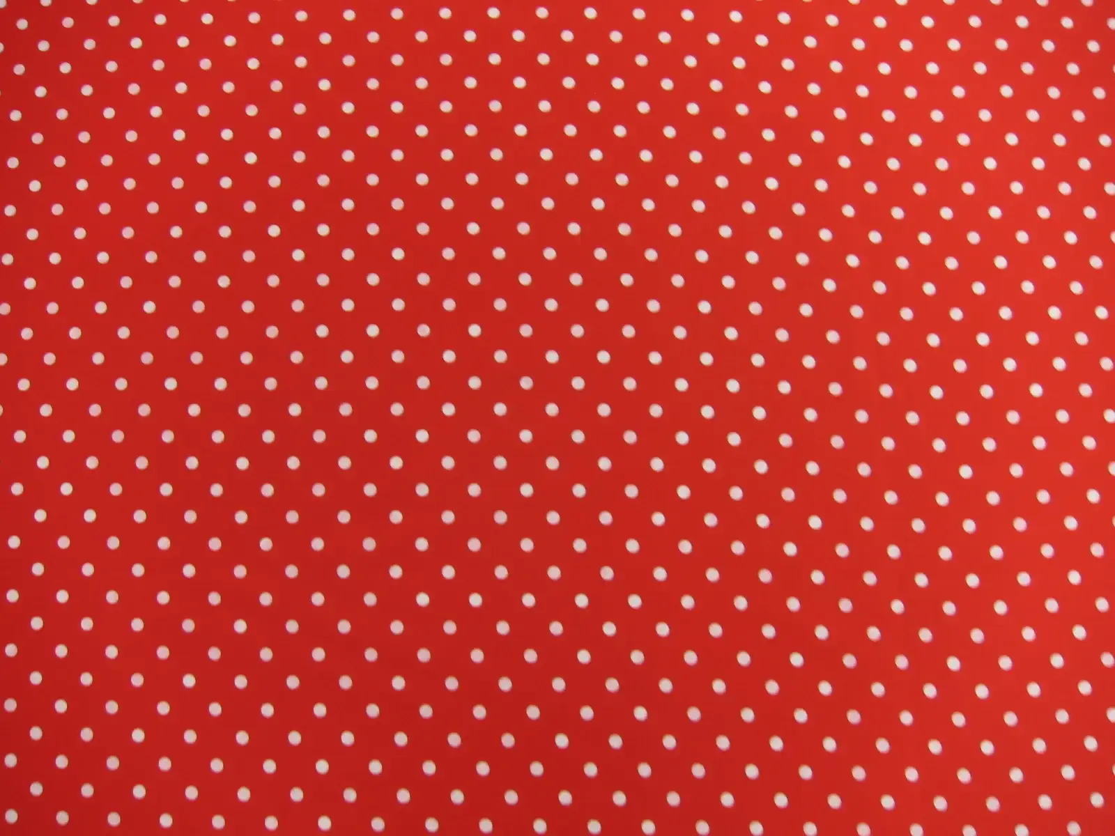 Printed Silk Charmeuse1