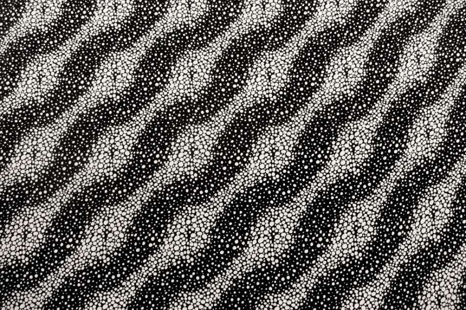 Printed Silk Charmeuse Stripe in Black White Background