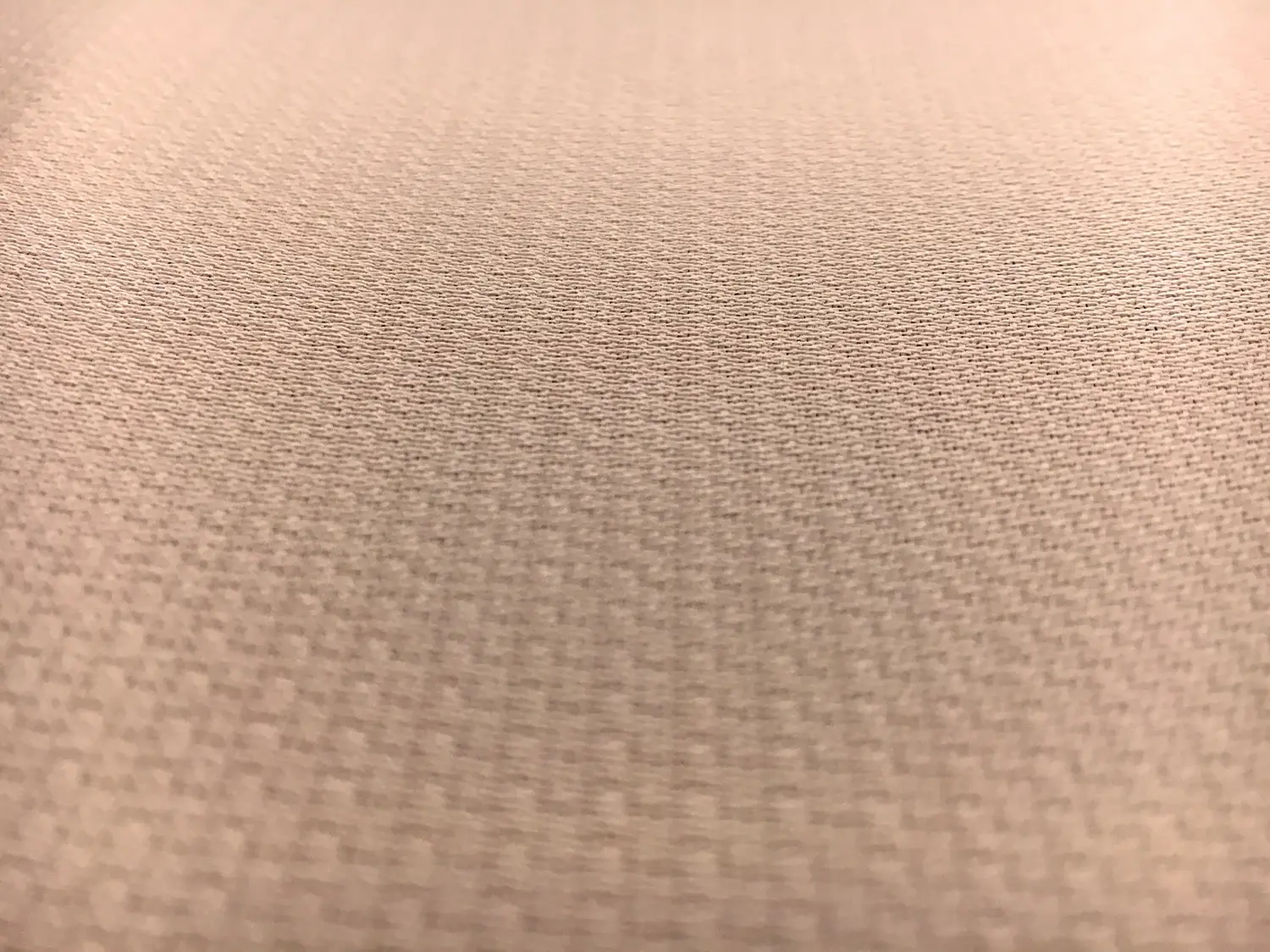Heavy Silk and Wool Gazar in Nude0