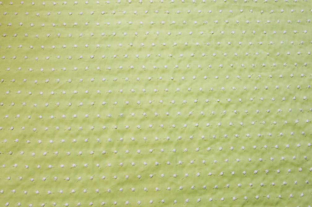 Cotton Embroidered Dots in Spring Bud0