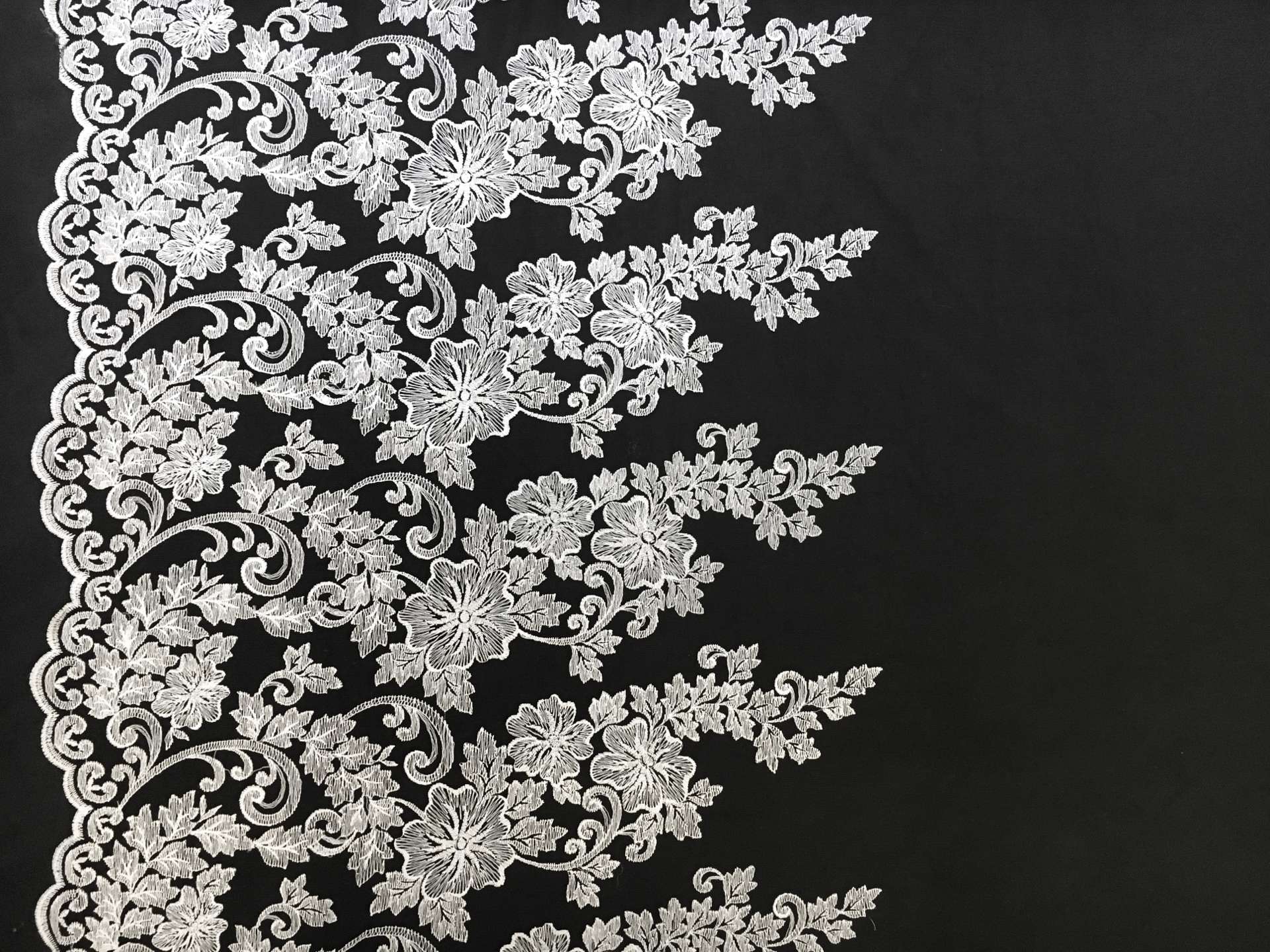 Embroidered Black Illusion with Ornate Single Border0
