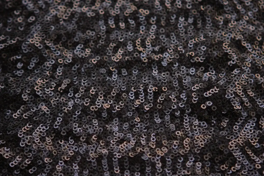 Sequins on Tulle2