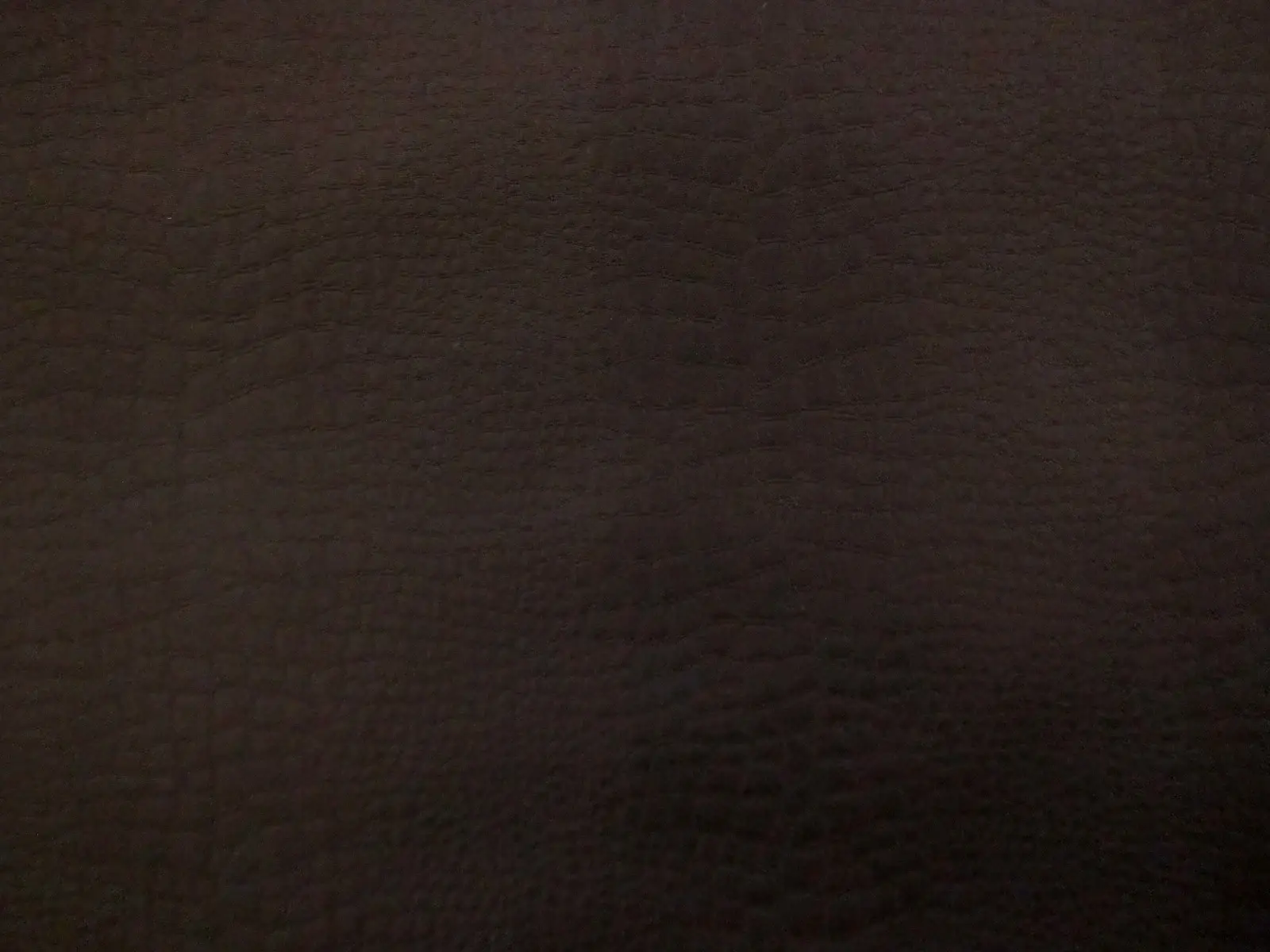 Brocade1