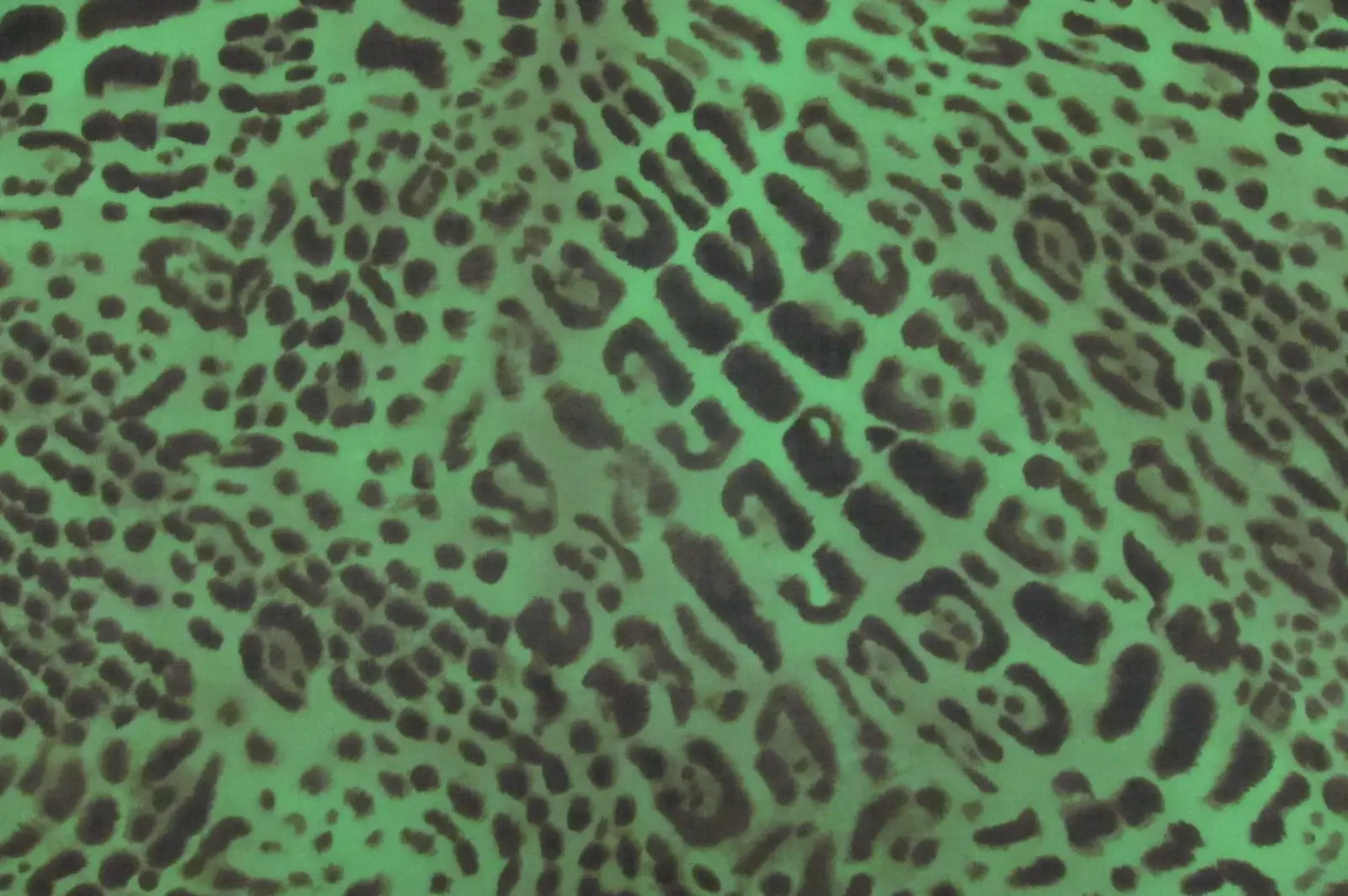 Printed Silk Chiffon0