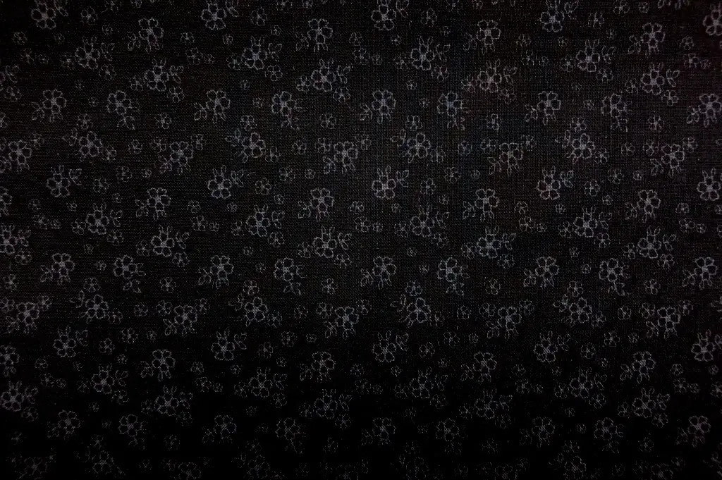 Cotton Broadcloth Print0