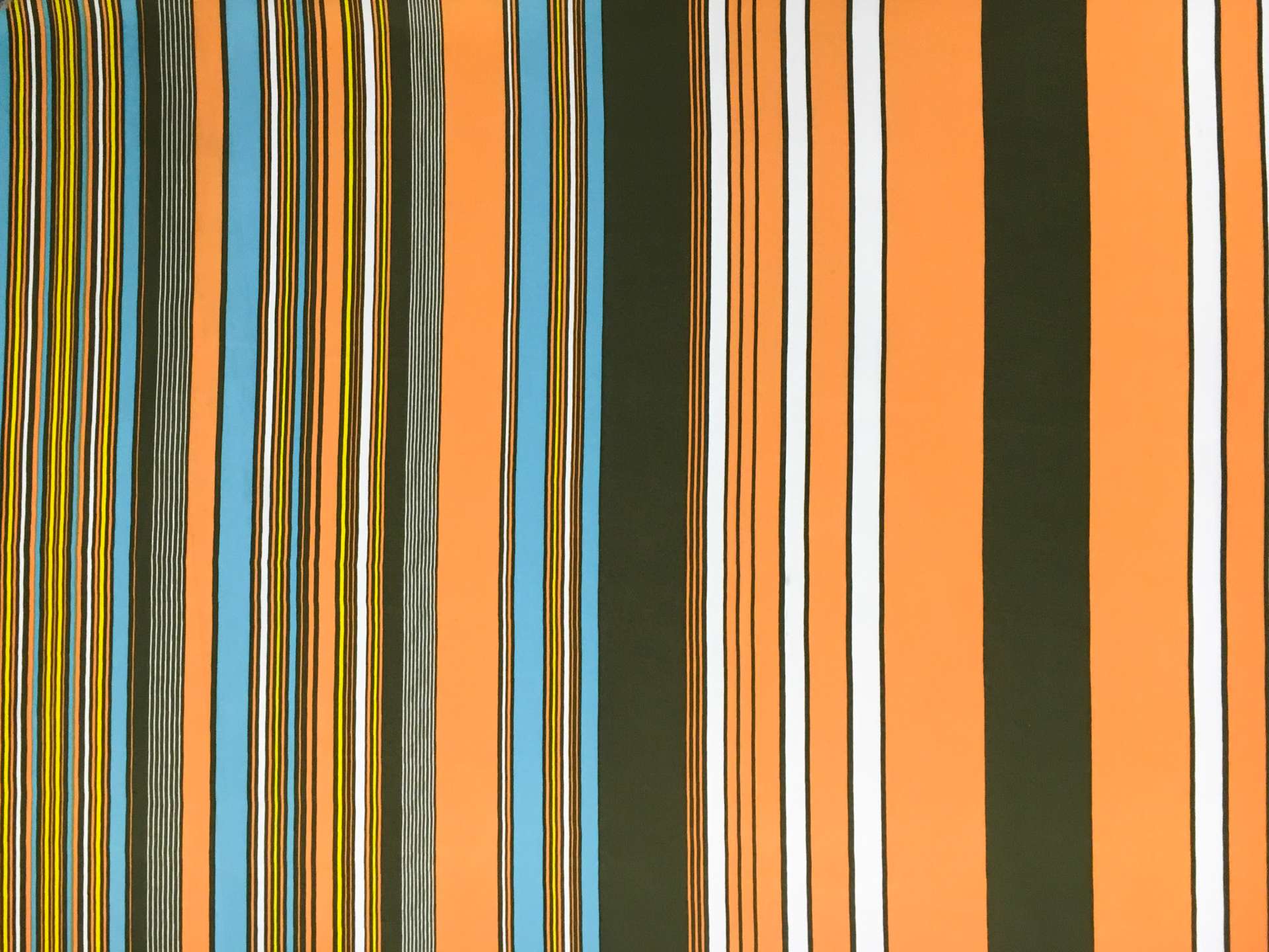 Printed Silk Charmeuse0