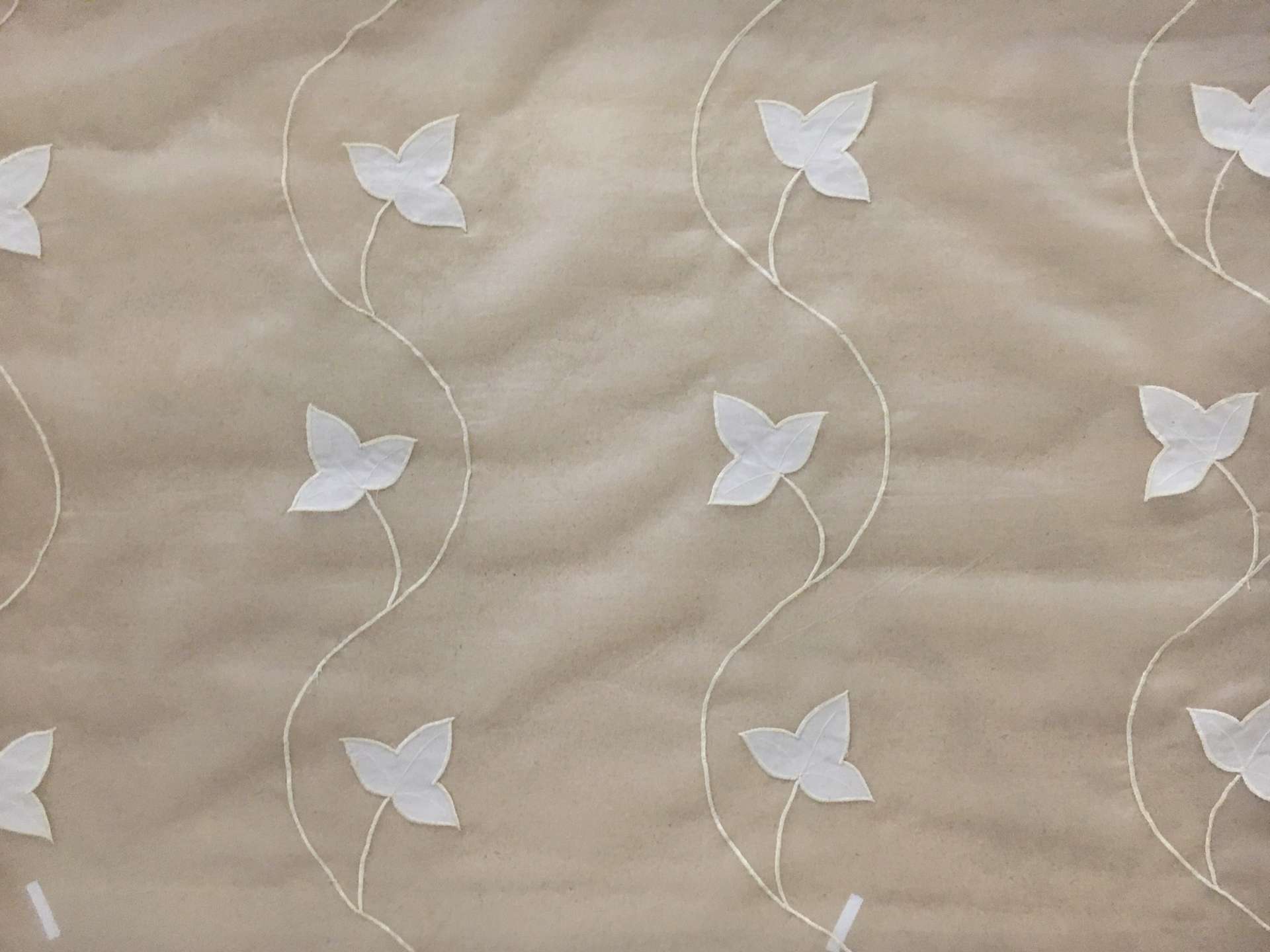 White Silk Organza Embroidered with Vines and Leaves in White0