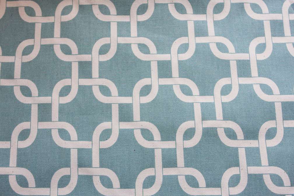 Printed Cotton Canvas in Powder Blue