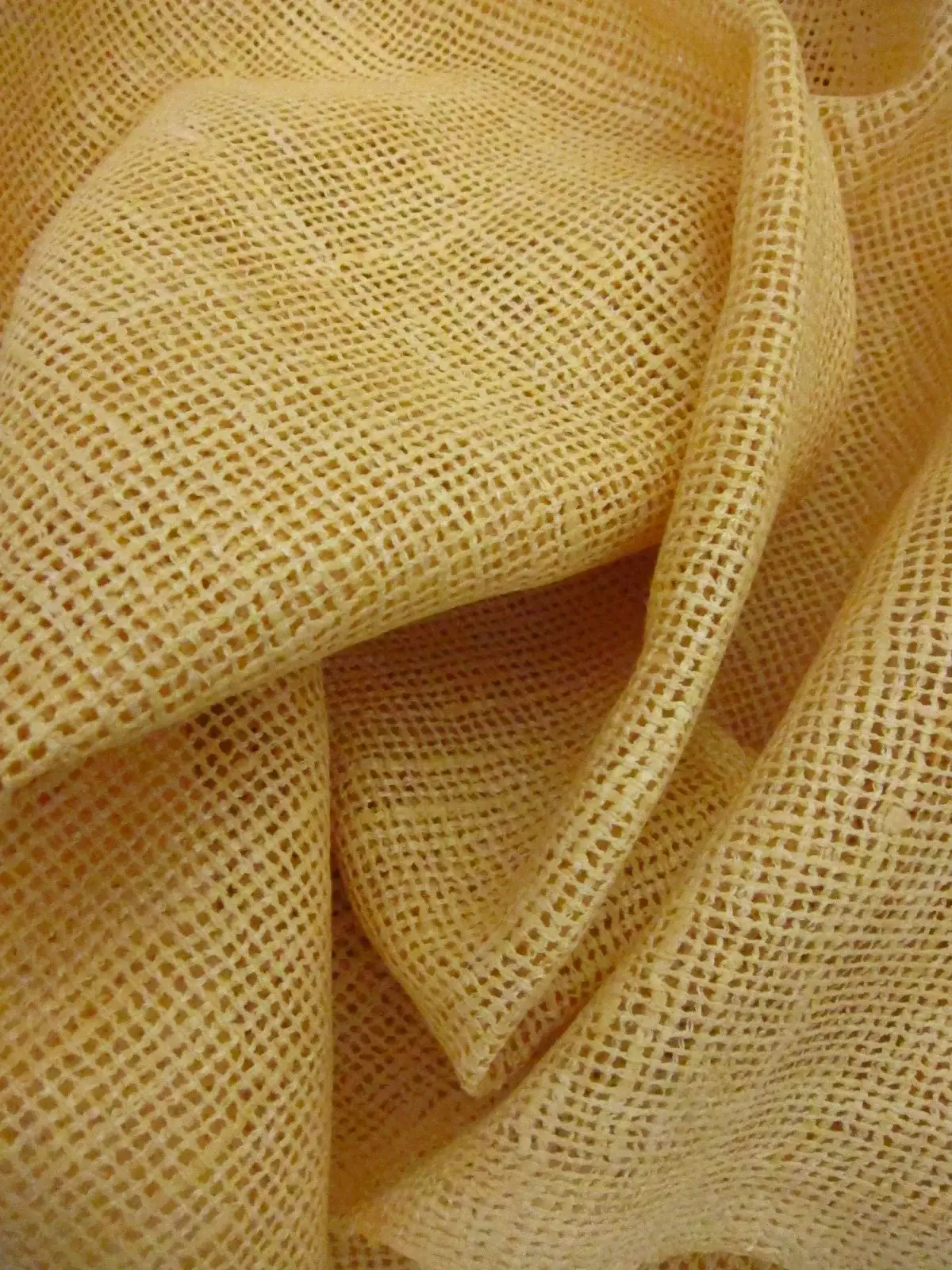 Silk Mesh1