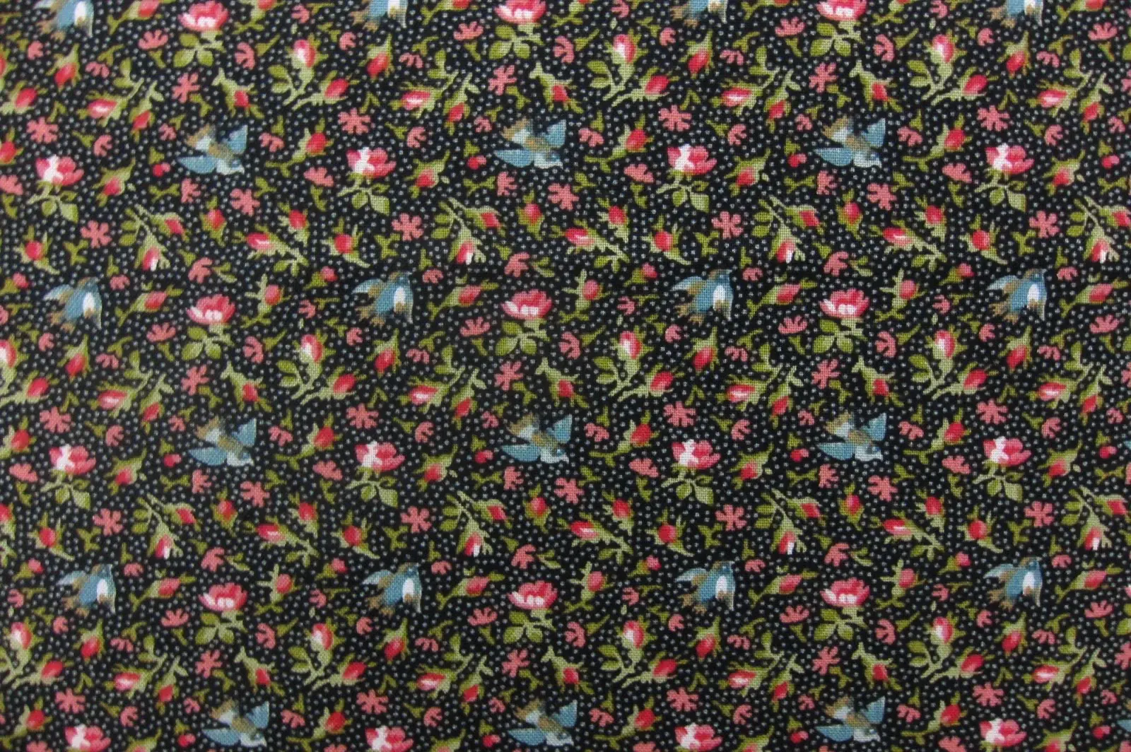Cotton Broadcloth Print0