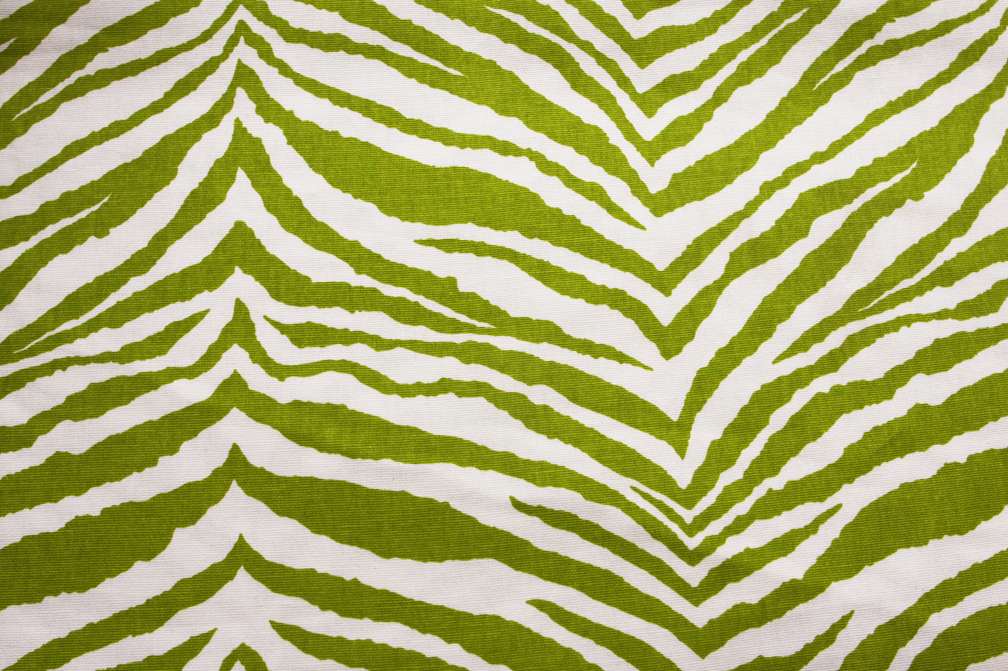 Cotton Canvas Zebra Print in Lime