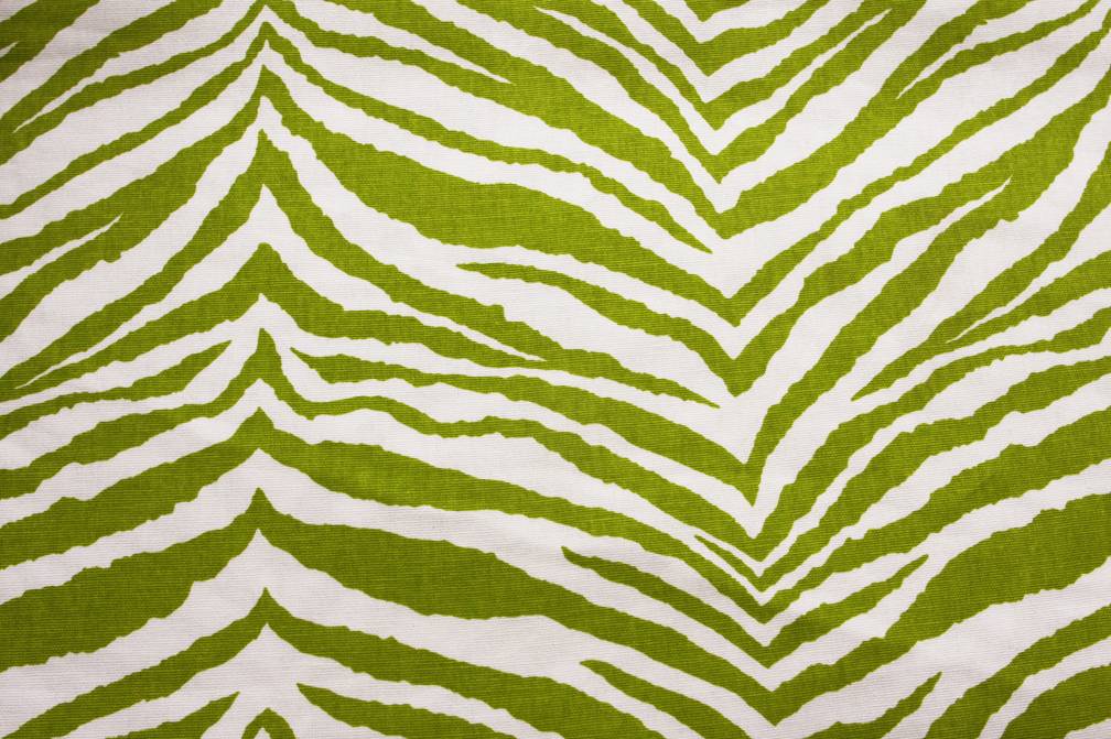 Printed Cotton Canvas0