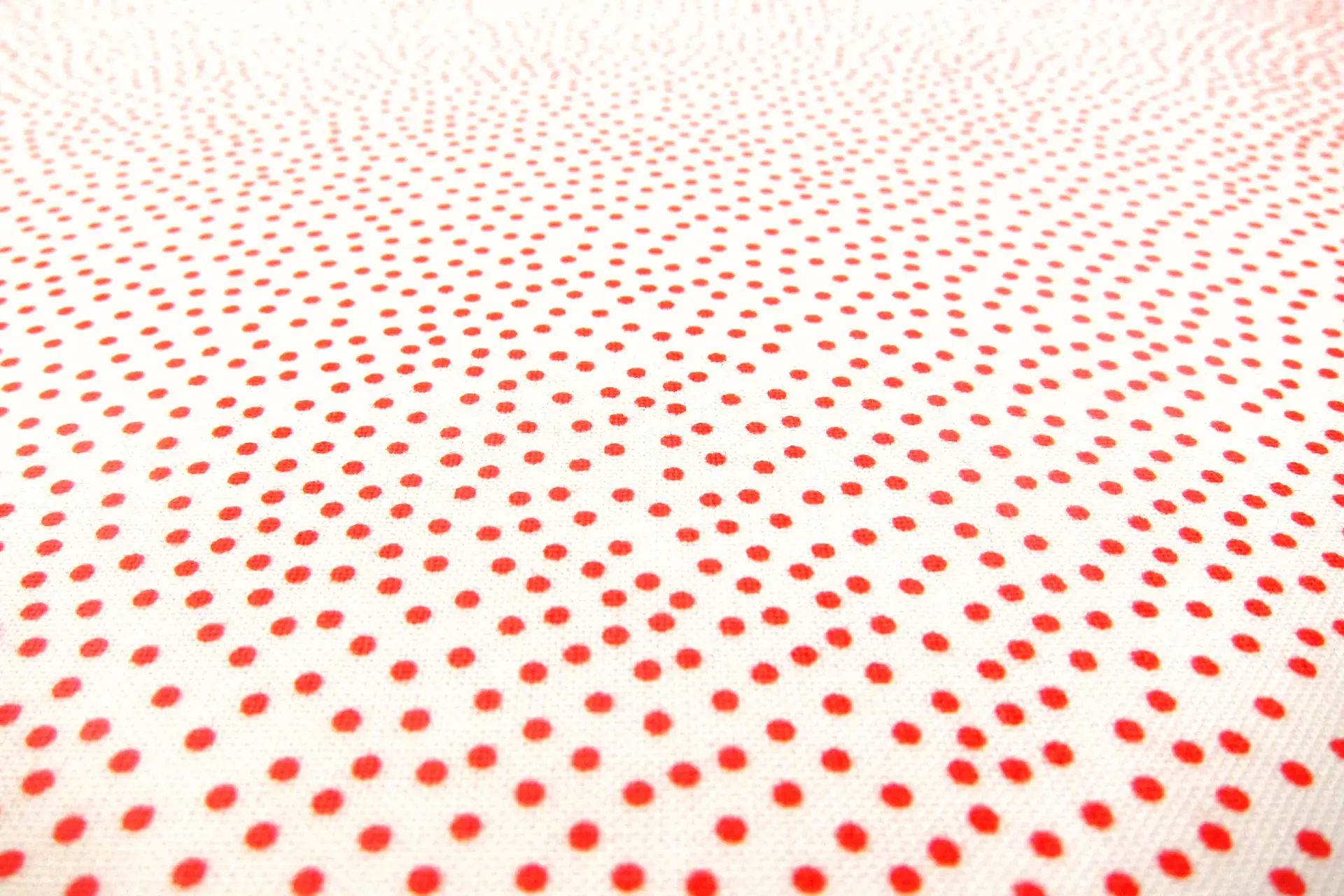 Cotton Broadcloth Print2
