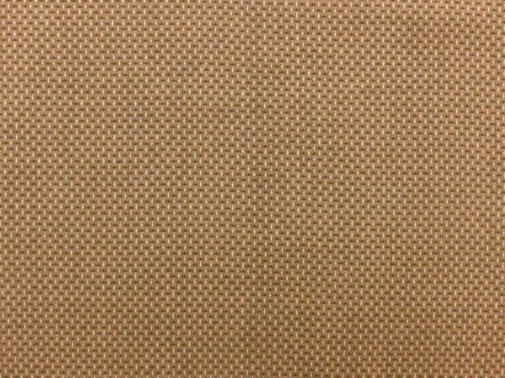 Cotton Woven Novelty in Olive Cream