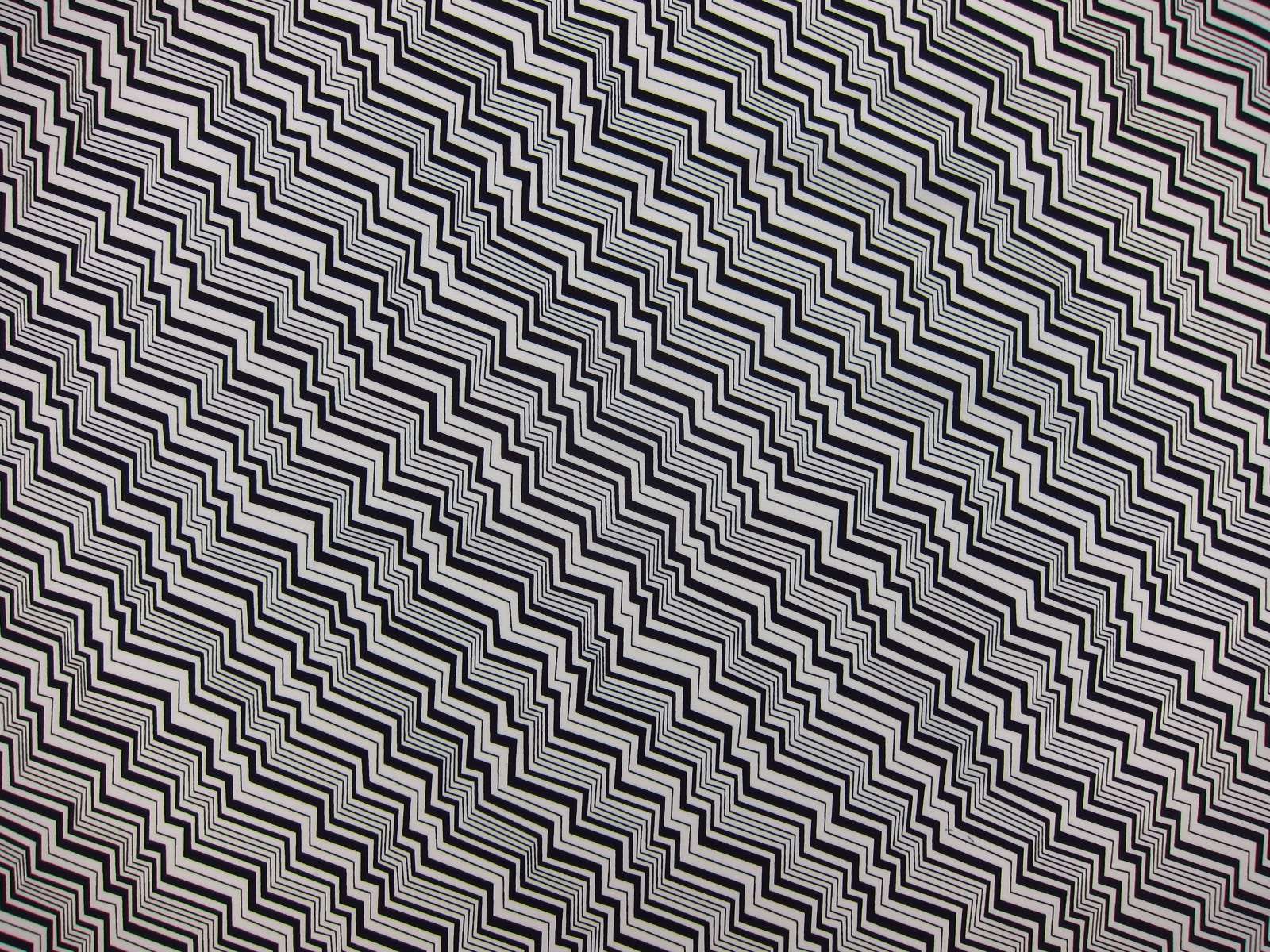 Cotton Broadcloth Print0