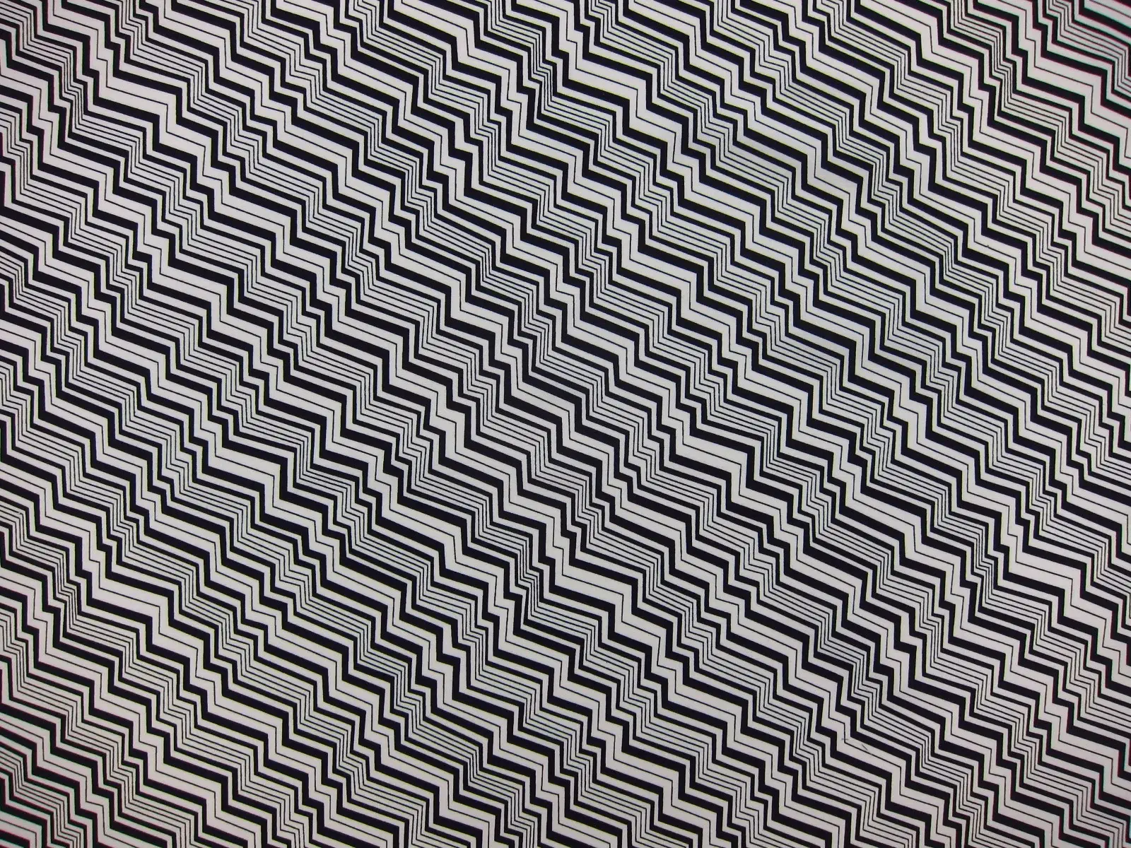 Cotton Broadcloth Print0