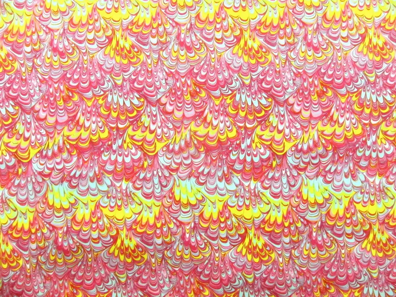 Printed Silk Charmeuse0