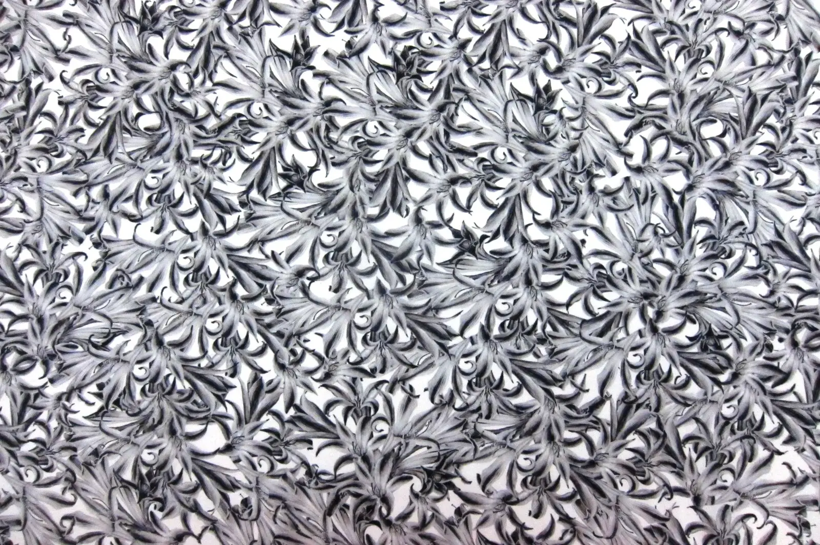 Printed Silk Charmeuse0