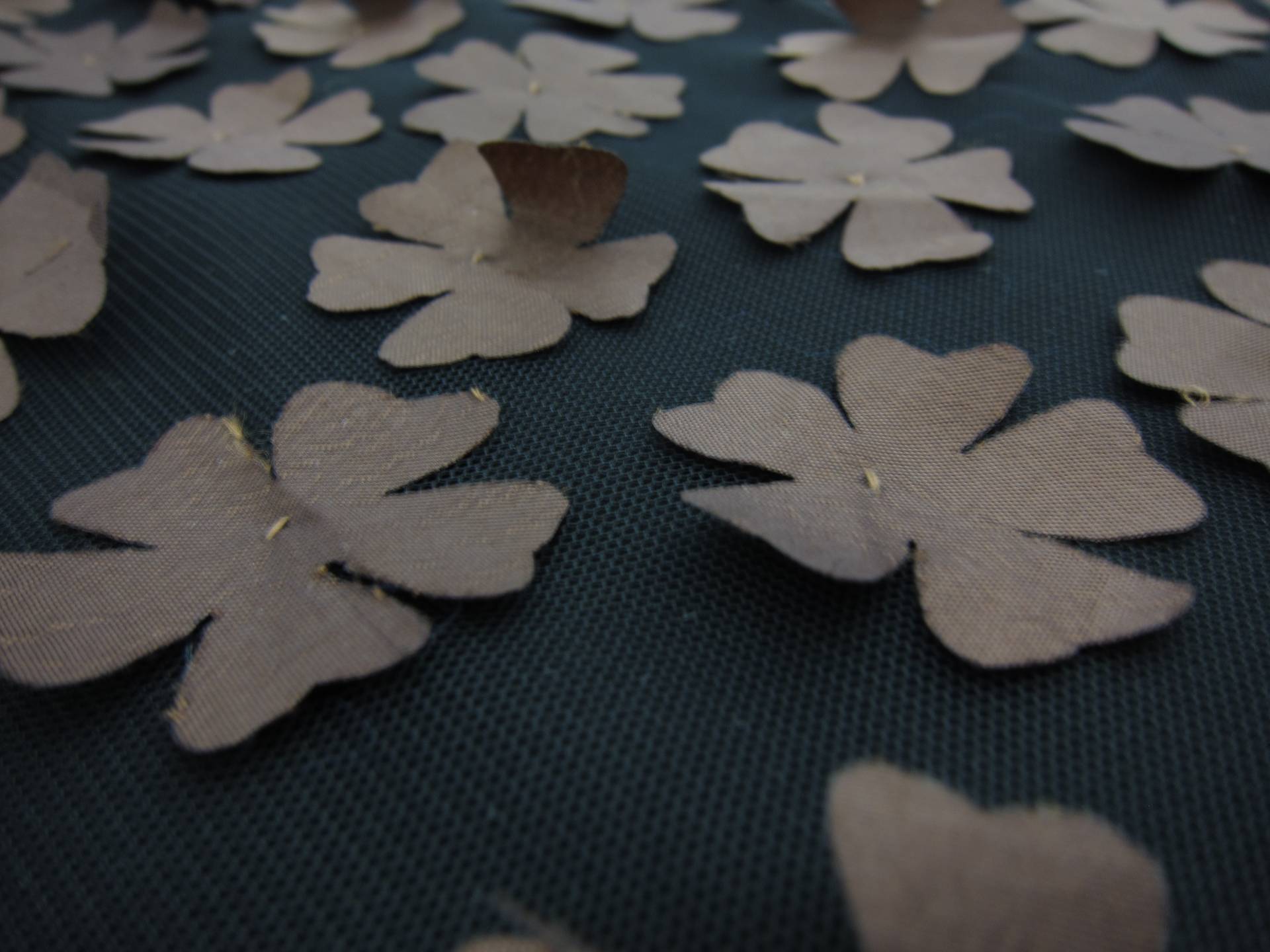 Flowers Appliqué on Tulle 2