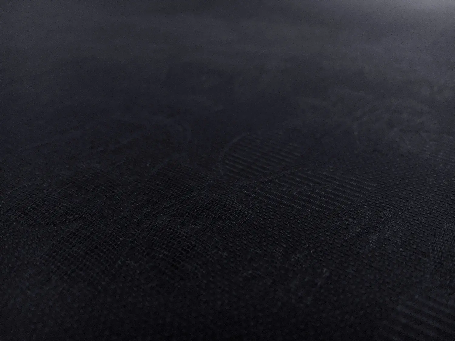 Swiss Cotton Floral Brocade in Navy0
