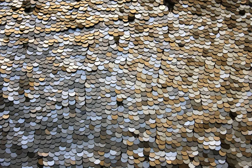 Novelty Paillettes on Silk Chiffon1