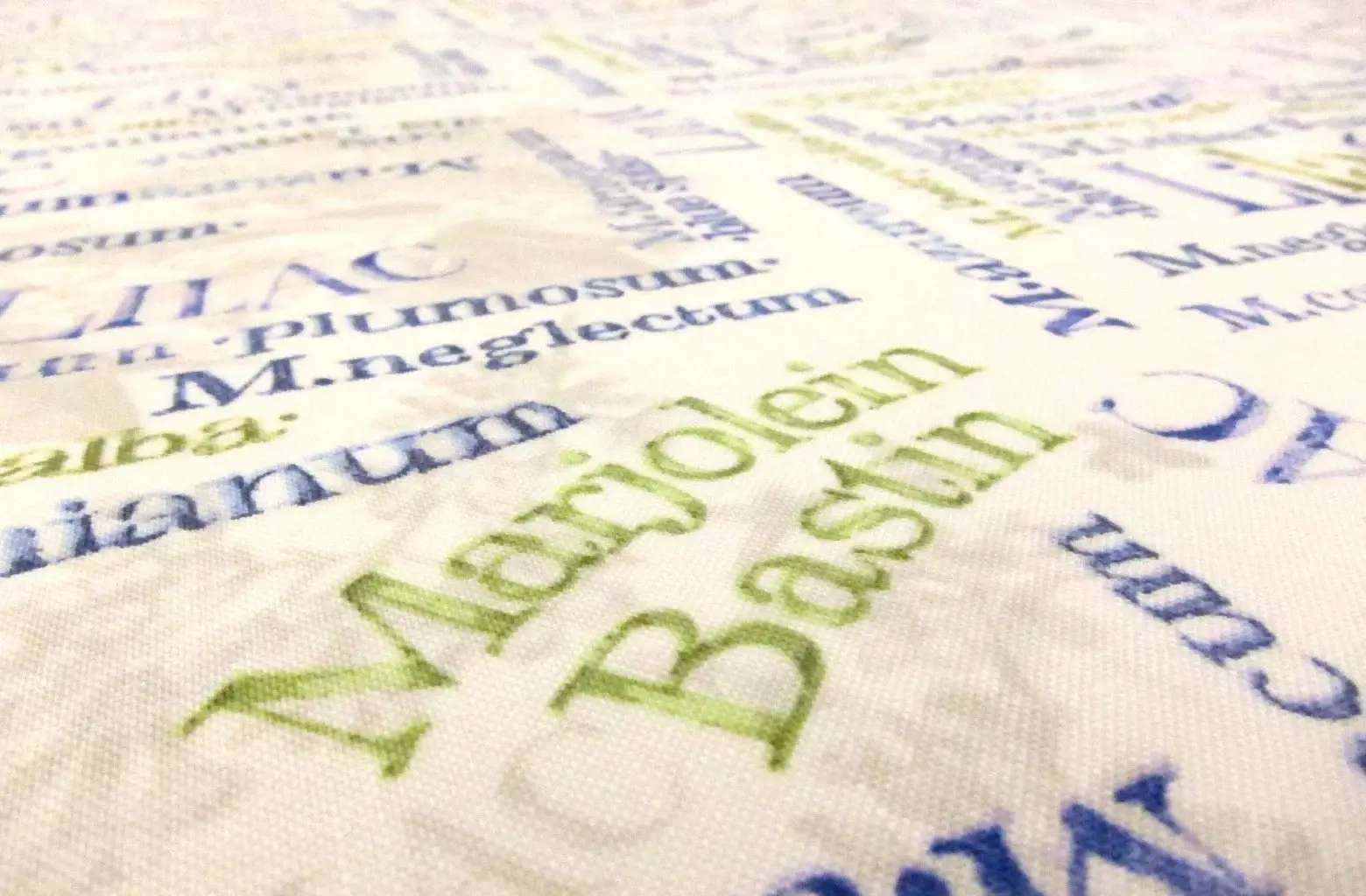 Cotton Broadcloth Print2