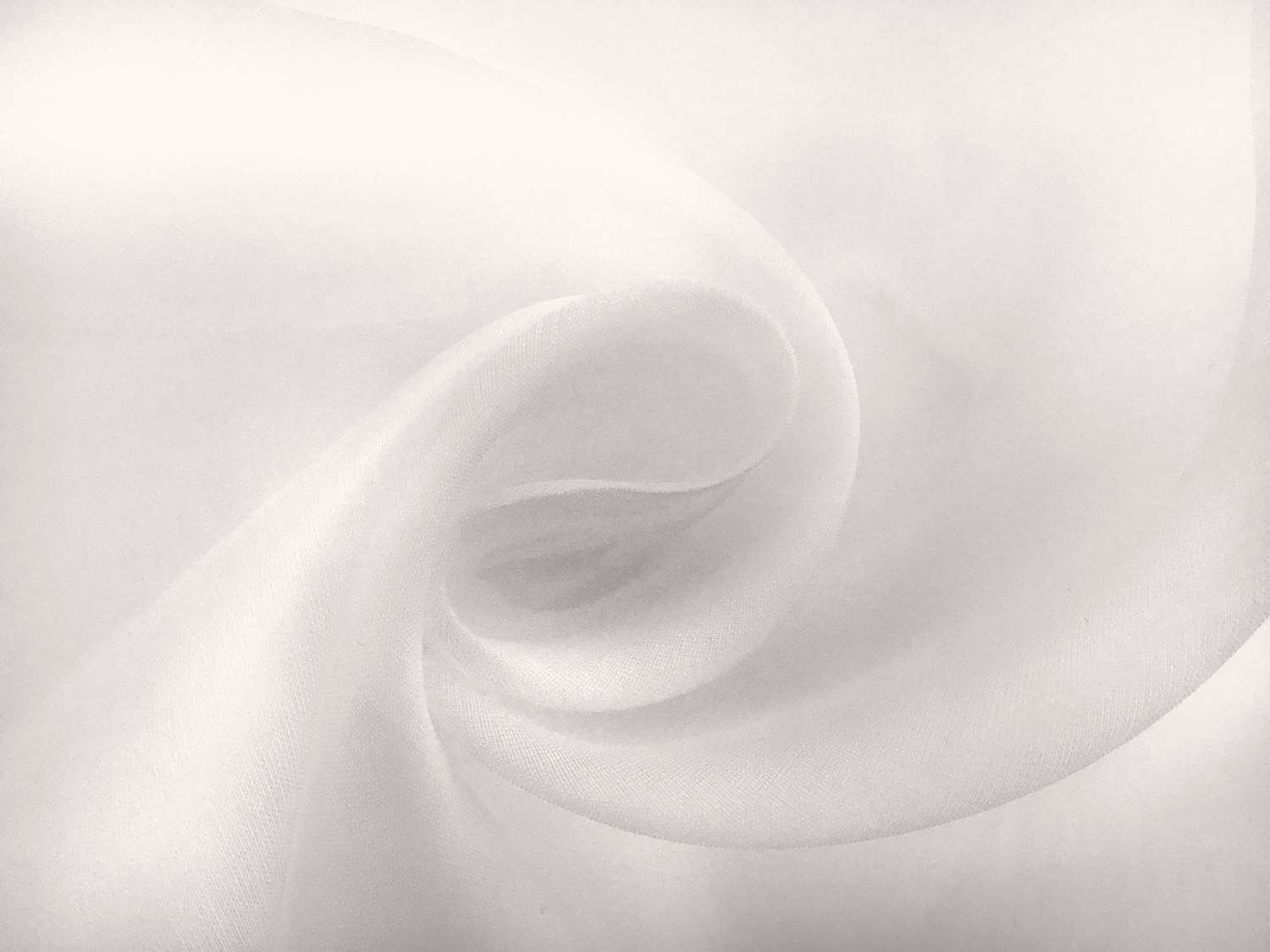 Swiss Cotton Organdy in Ivory0