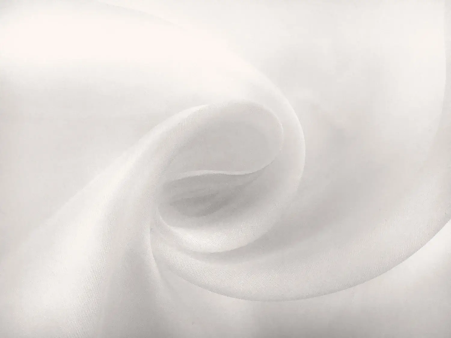 Swiss Cotton Organdy in Ivory0
