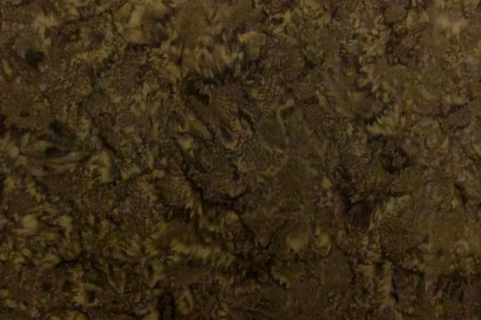 Cotton Batik0