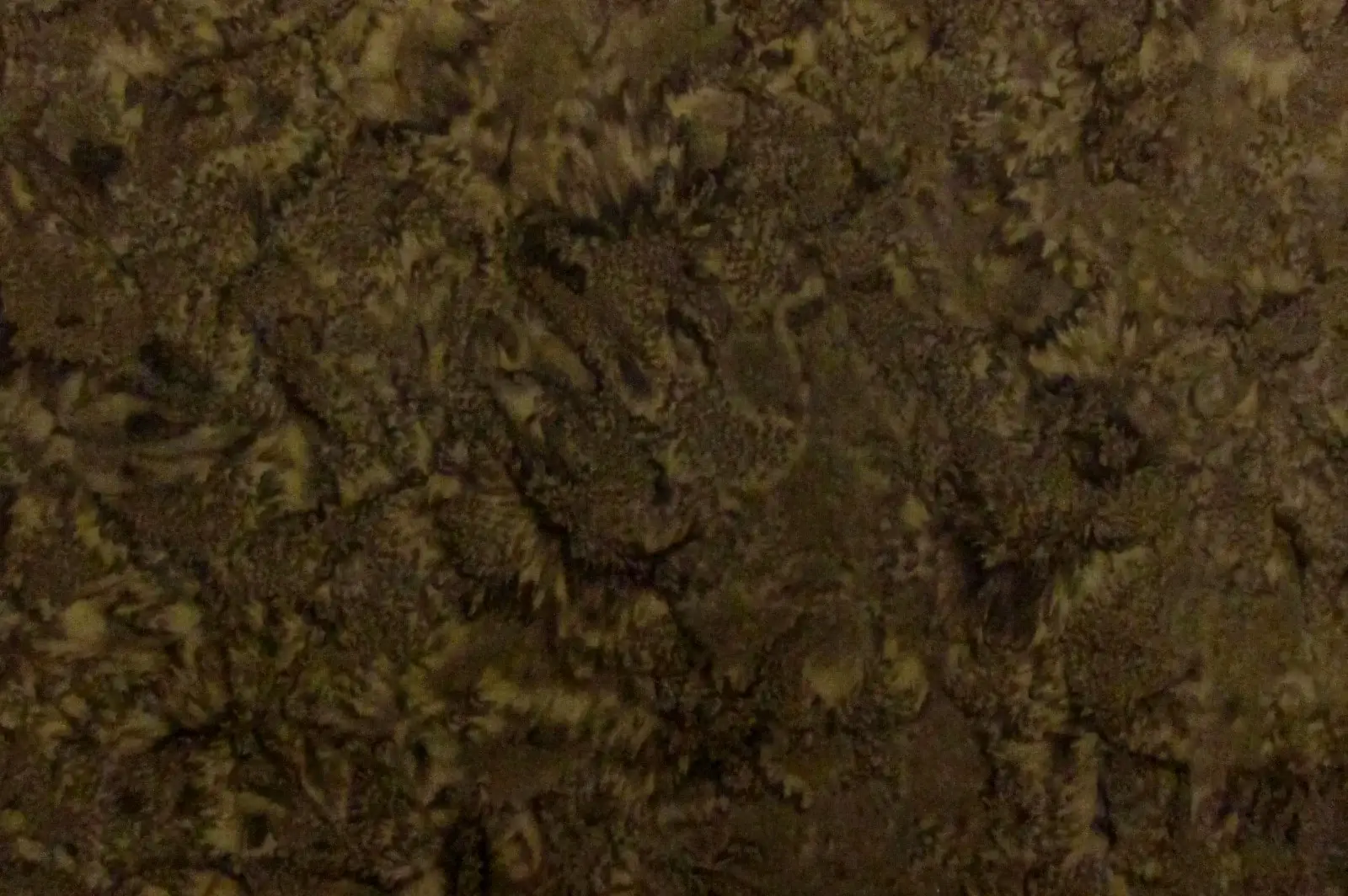 Cotton Batik0