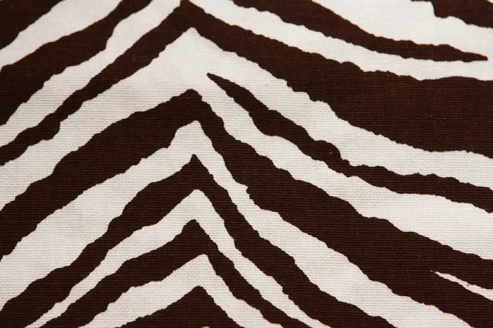 Printed Cotton Canvas2