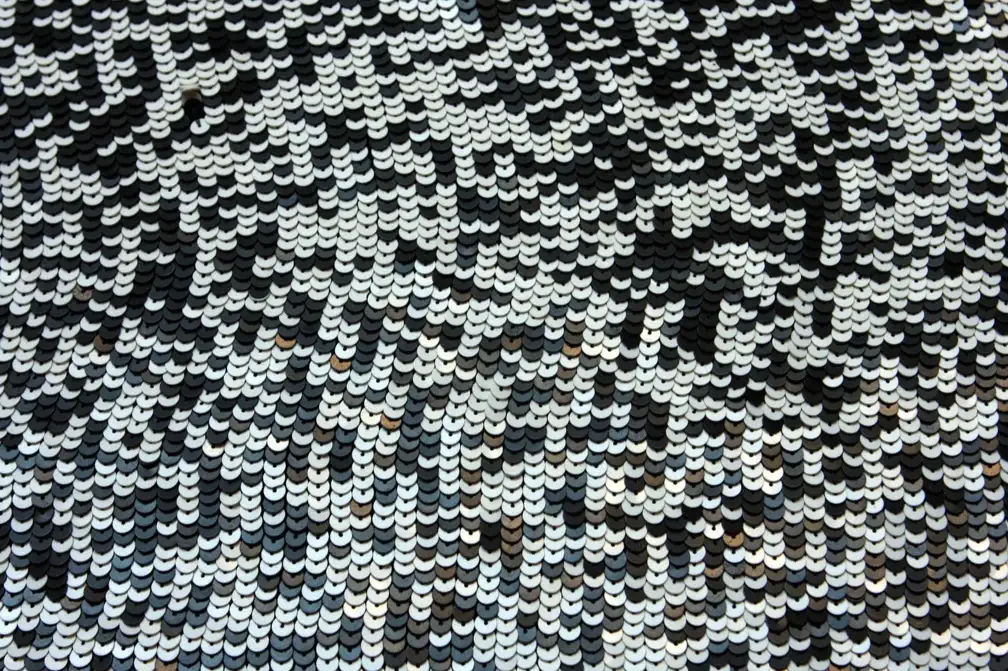 Sequins on Silk Chiffon0