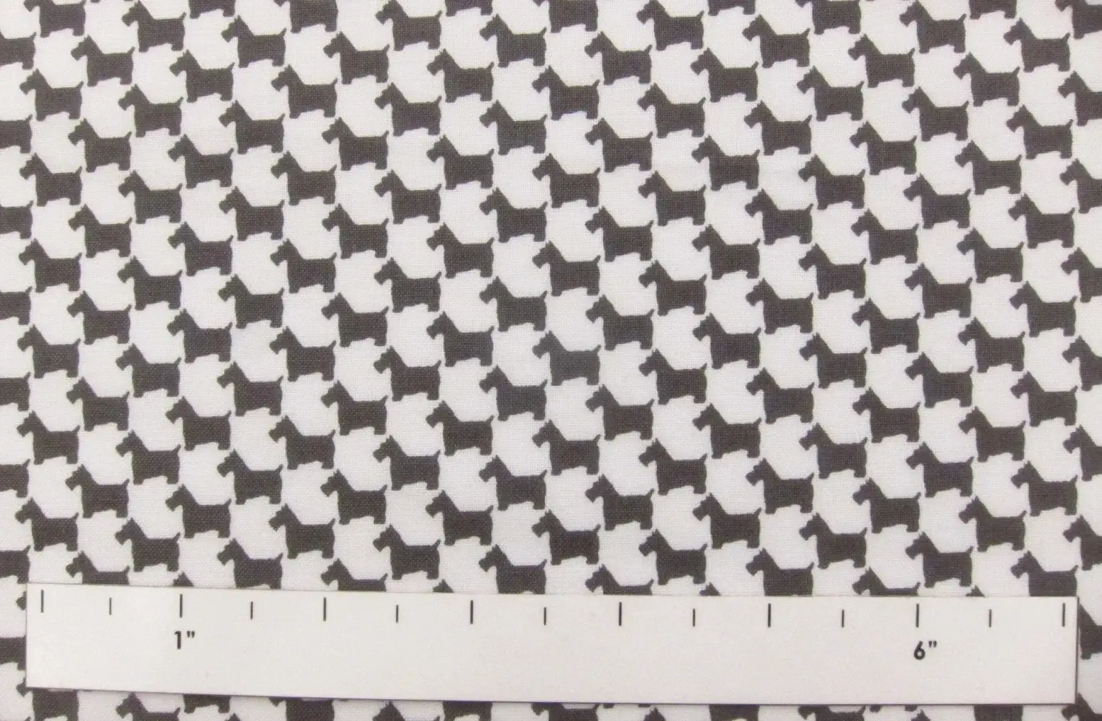 Cotton Broadcloth Print1