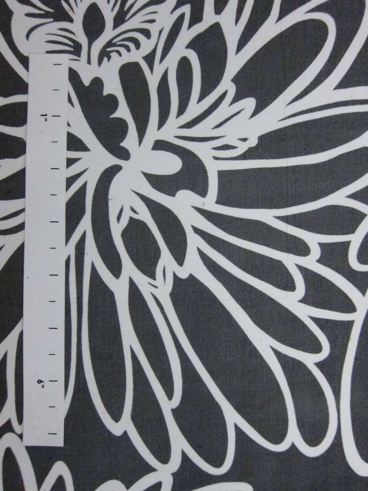Printed Silk Chiffon