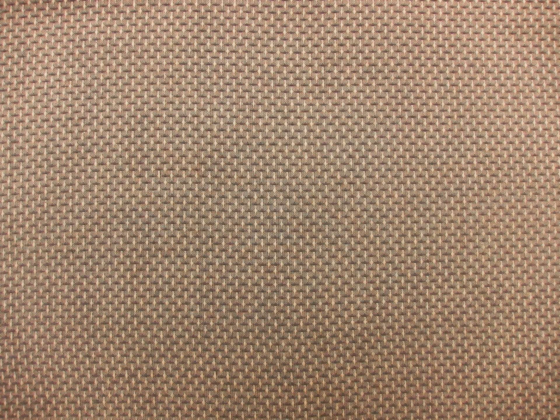 Cotton Woven Novelty