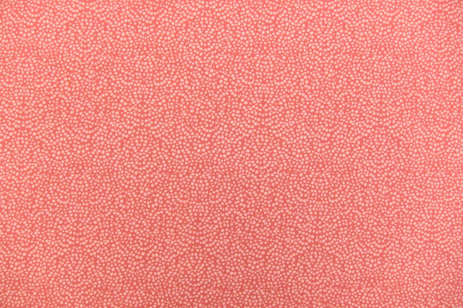 Cotton Broadcloth Print0