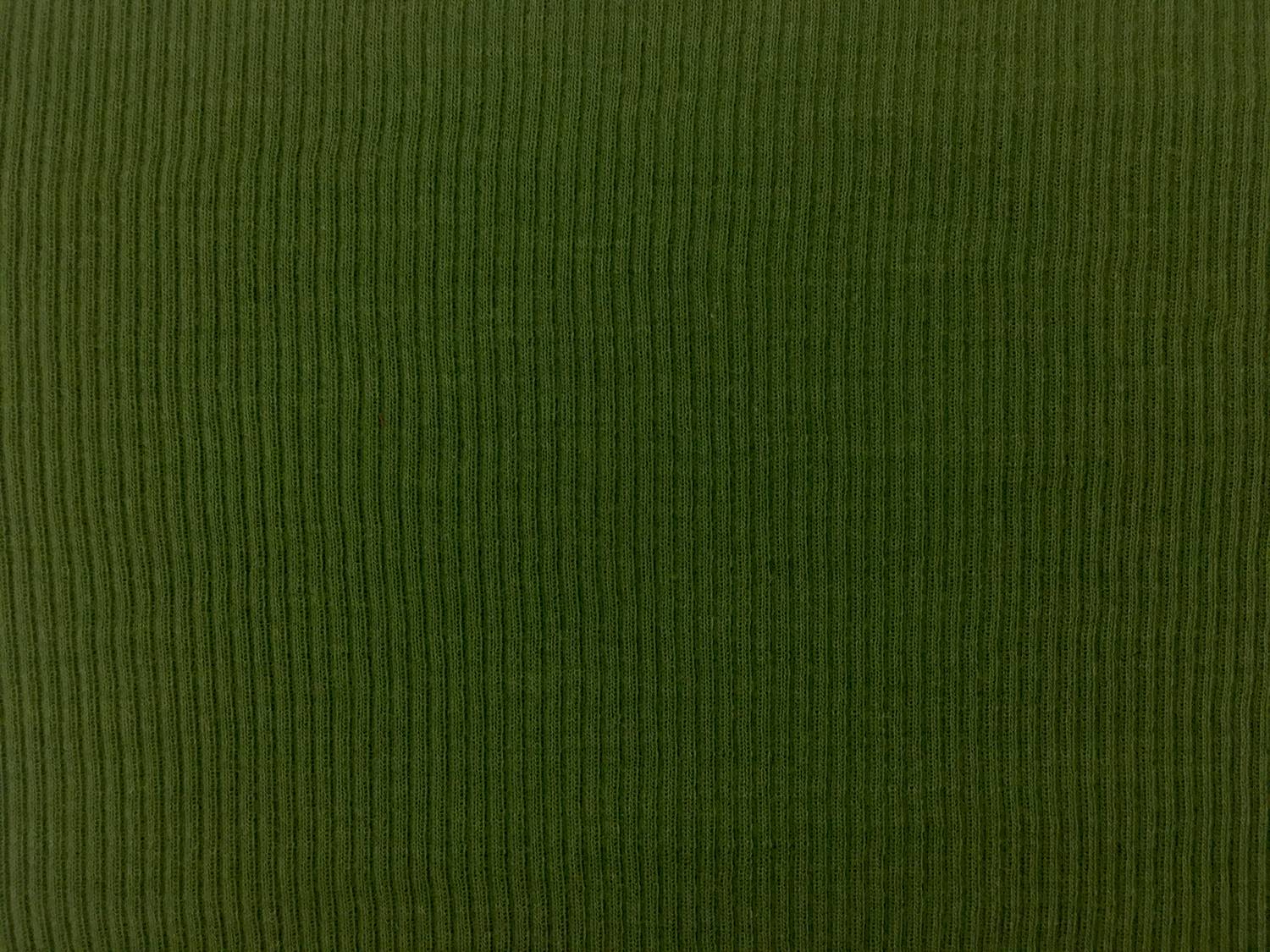 Virgin Wool Rib Knit in Moss0