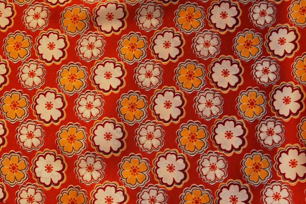 Printed Silk Charmeuse1