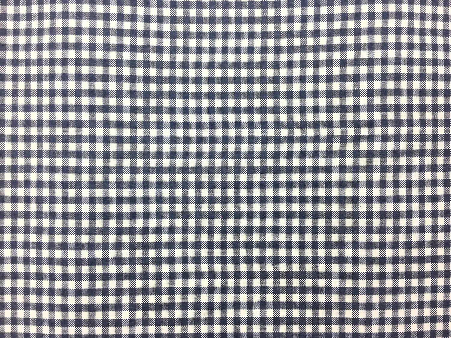 Carolina Cotton Gingham in Navy0