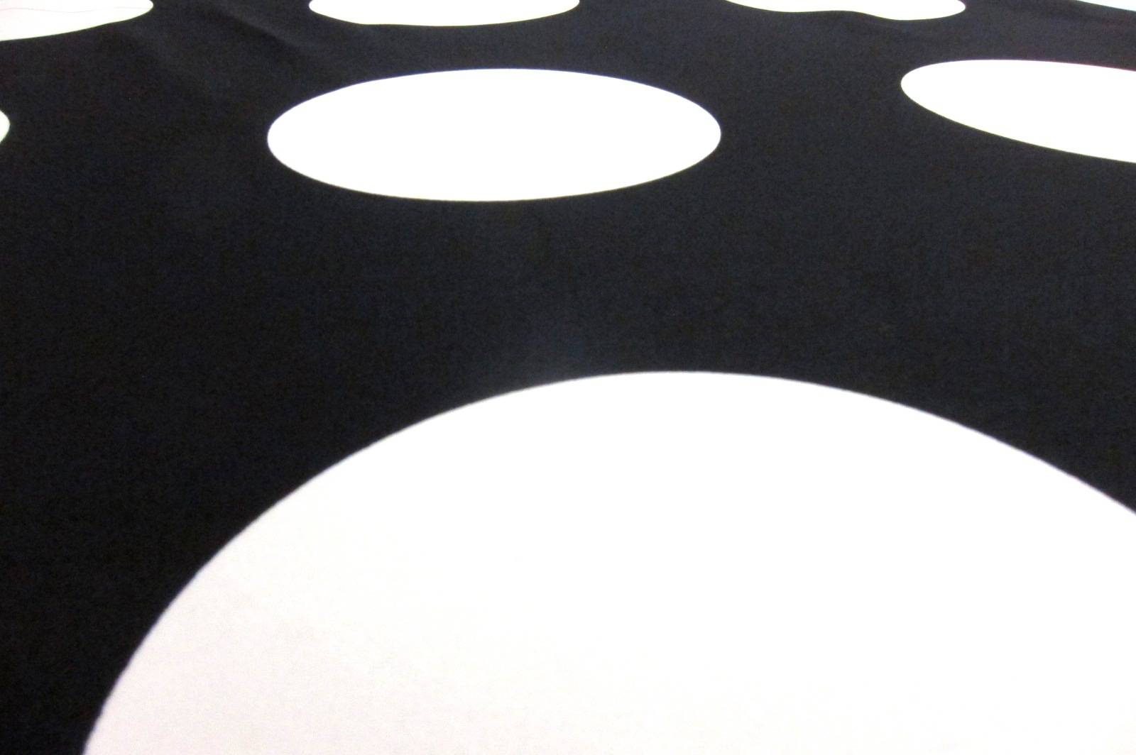 Printed Silk Charmeuse2