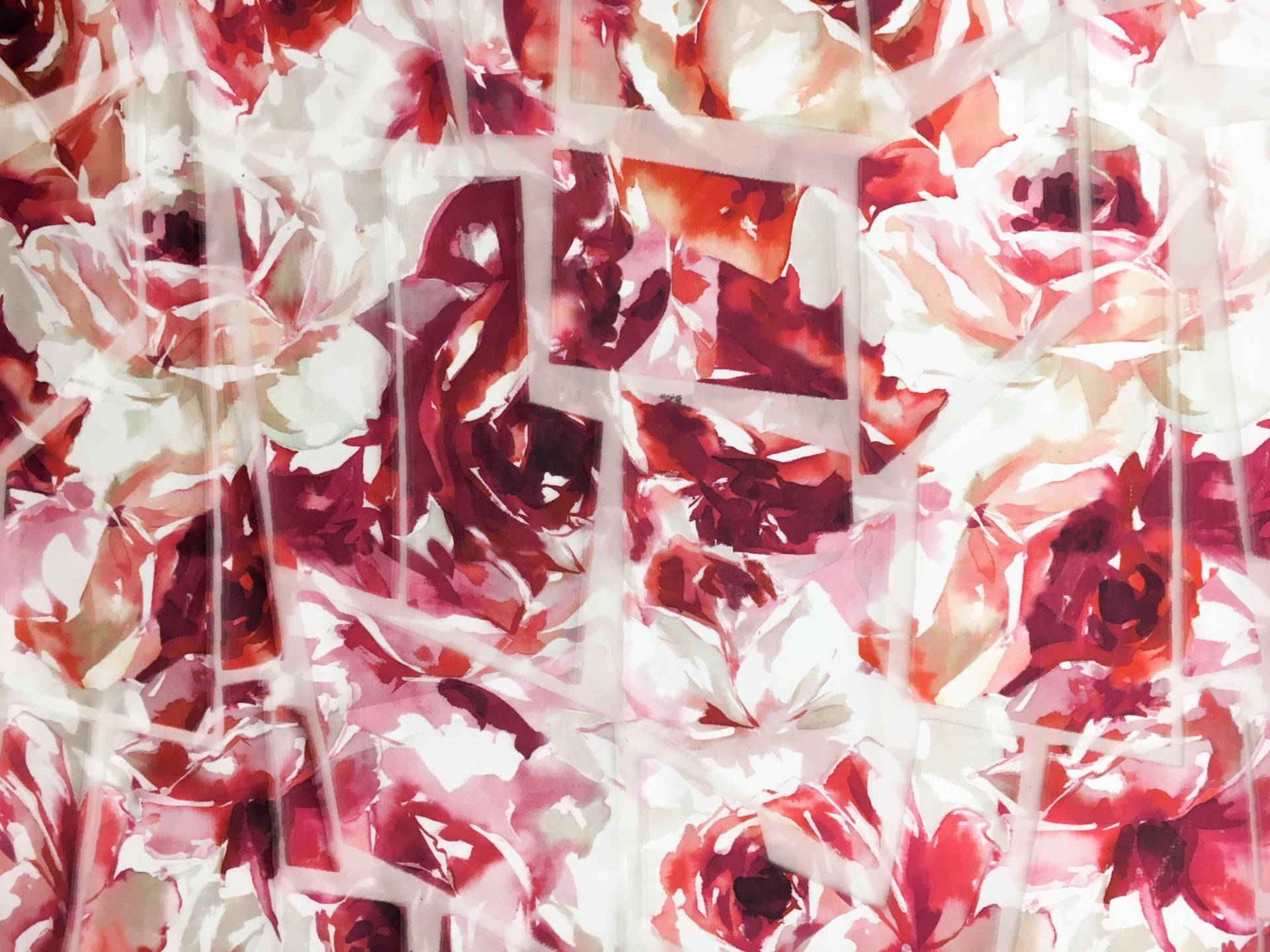 Floral Polyester and Silk Blend Organza with Burnout Geometric Patterns0