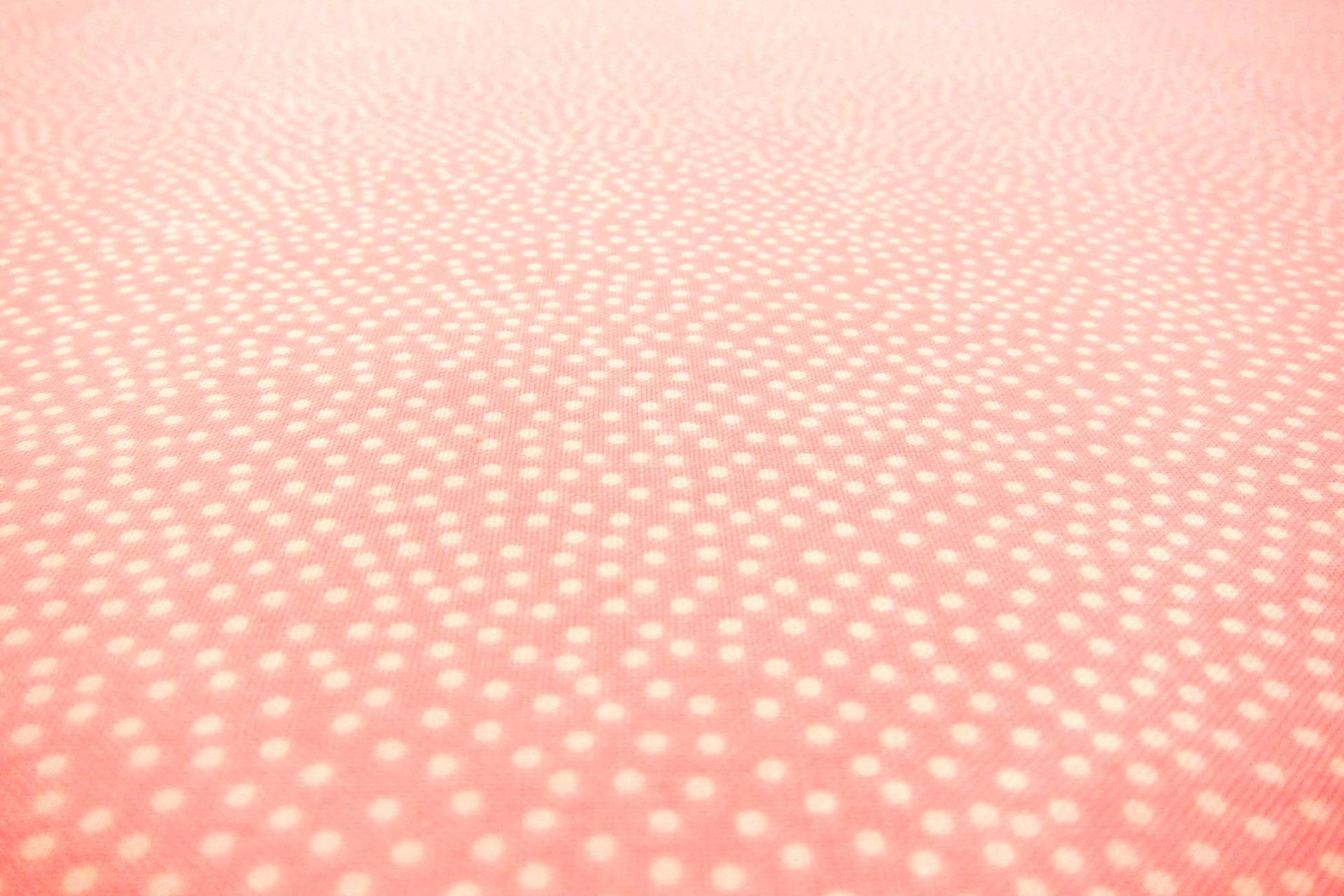 Cotton Broadcloth Print1